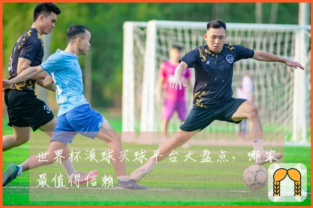 世界杯滚球买球平台大盘点,哪家最值得信赖