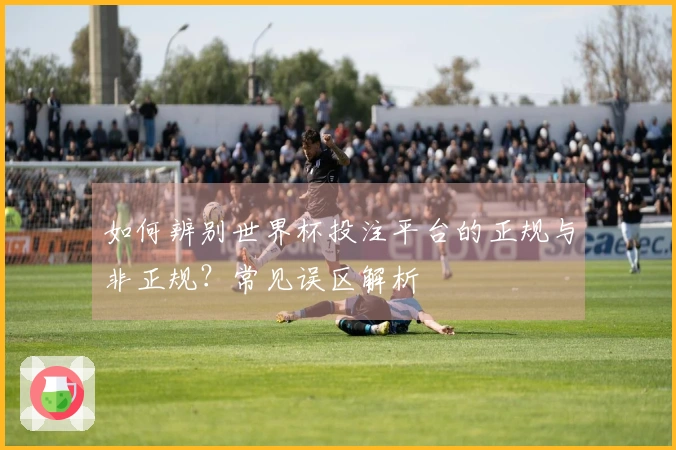 如何辨别世界杯投注平台的正规与非正规？常见误区解析