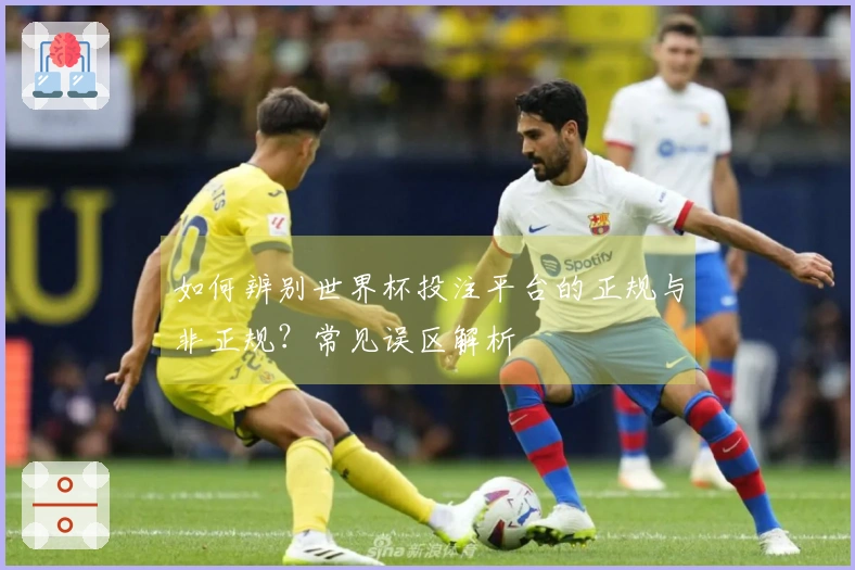 如何辨别世界杯投注平台的正规与非正规？常见误区解析